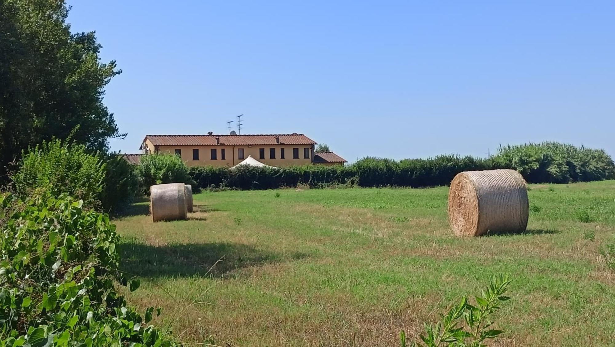 Il Chiassetto Agriturismo No Kids Villa Cascina Exterior photo